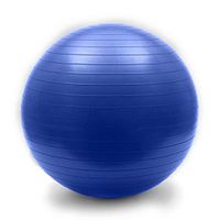 ZENWENProfessional Exercise 2,000 lbs Stability Ball Balance Exercise Yoga Ball Balance 2,000 lbs Stability Ball Fitness Exercise,Navy blue-25cm