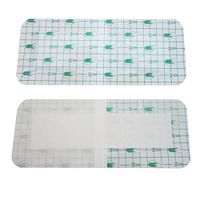 Careshine Waterproof Transparent Adhesive Wound Dressing 10pcs Medical dressings Posted Disposable sterile bedsores Wound Waterproof Bath Posts, Anti-Allergic self-Paste