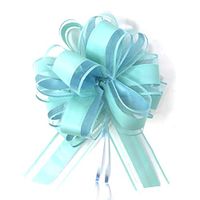 Allgala 12-pc 6" Large Everyday Pull Bows-Turquoise-GP92012
