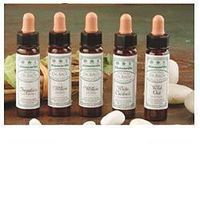 Dr Bach Cherry Plum Bach Flower Remedy 10ml
