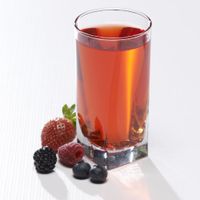 Mixed Berry Liquid Protein Concentrate (7ct.) - Low Carb
