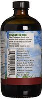 L A NATURALS Chlorophyll 100mg withspearmint, 0.02 Pound