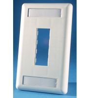 ORTRONICS OR-40300548 FACEPLATE, 2PORT