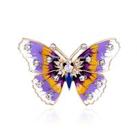 Rhinestone Women Garment Decoration Trendy Brooch Badge Jewelry Butterfly Popular Creation Beauty Party Cheap Style Accesories Delicate Accessories Elegant