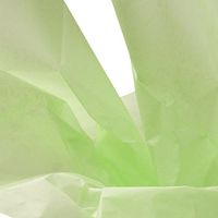 24ea - 20 X 30 Patina Green Quire Fold Tissue Paper