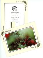 Pinecone Season's Greetings - 4x6 Photo Insert Note Cards - 24 Pack by Plymouth