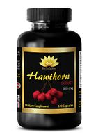 Cardiovascular Tools - Hawthorn Extract 665MG - Dietary Supplements - Hawthorn Berry Powder - 1 Bottle (120 Capsules)