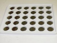 100Pack ECR1616 CR1616 LM1616 5021LC DL1616 BR1616 DL1616 Battery-1 YR Warranty