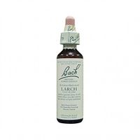 Dr Bach Larch Bach Flower Remedy 10ml