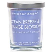 Beyond Your Thoughts Scented Candle Aromatherapy Wax Mixed Popular Long Lasting Ocean Breeze&Orangeblossom Fragrances Blue 8oz