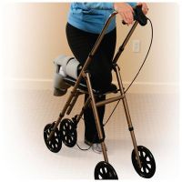 Drive Walker Drive Walker