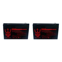 Blade Z XTR-SE 450 12V 12Ah Replacement Electric Scooter Battery by Neptune - 2 Pack