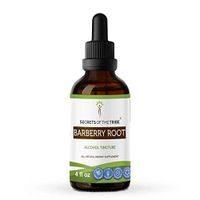 Barberry Root Alcohol Tincture Extract, Organic Barberry (Berberis Vulgaris) Dried Root Bark (4 fl oz)