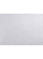 #17 Mini Flat Card (2 9/16 x 3 9/16) - Silver Metallic (250 Qty.)
