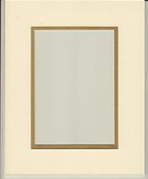 22x28 Cream & Gold Double Picture Mats or Photography Matting Bevel Cut for 16x20 Pictures