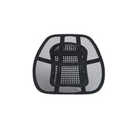 Lumbar Joy Ergonomic Back Support