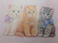 (11) Three Sweet Kittens Pink Blank Notecards