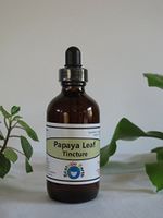 Papaya Leaf Extract/Tincture ~ 1 Ounce Bottle ~ 100% Organic Graviola