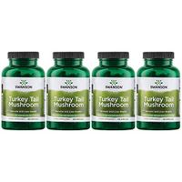 Swanson Turkey Tail Mushroom Supplements Immune Support Liver Support Cellular Health 500 mg 120 Capsules (4 Pack)