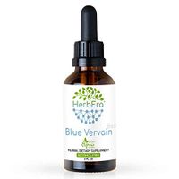 Blue Vervain B60 Alcohol-Free Herbal Extract Tincture, Organic Blue Vervain (Verbena Hastata) (2 fl oz)
