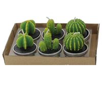 AURNEW 6 Pieces Cactus Tealight Candles Handmade Delicate Succulent Cactus Candles for Party Wedding Spa Home Decoration Gifts (A)