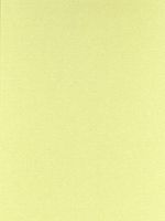 Canson Mi-Teintes Mat Board light green 16 in. x 20 in. [PACK OF 5 ]