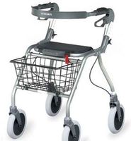 Dolomite Symphony Super Low Walker, color: Brushed Silver