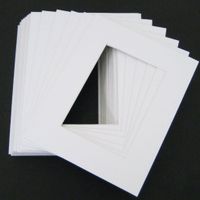 Pack of 50 White 16x20 Mats for 12x18 Photo + Backing + Bags