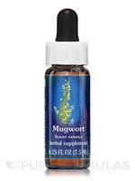 Flower Essence Services Quintessentials Supplement Dropper, Mugwort, 0.25 Fluid Ounce