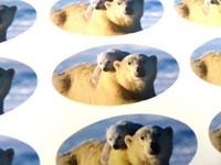 Minilabel Pack Of 30 , Polar Bear Seals , 51X25mm Oval Seal Labels, Stickers For Gift Wrapping, Presents, Envelopes, Bags Or Cards