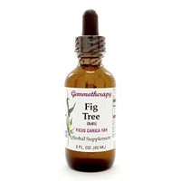 BOIRON USA - Fig Tree/Ficus Carica 2oz [Health and Beauty]