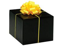 Gloss Color Gift Wrap Paper - Black Gloss 24"x85' Solid Color Gift Wrap Cutter Box (1 Box) - Wraps -657085