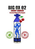 Big Ox O2 - 10LITERS Oxygen CAN - 95% Pure Oxygen, 100-200 Breaths, 1-2 Seconds Each. 2 Cans - Flavorless