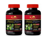 antioxidant Vitamin Supplement - Immune Support 1550 Mg Complex - Green Tea Extract Fat Burner - 2 Bottles 120 Capsules