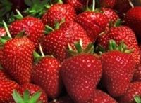 Pur-Sleep Strawberry (5ml)