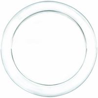 Amscan Dinner Plates 9'  24/Pkg Clear Plastic