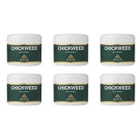 (6 PACK) - Bio-Health Chickweed Ointment | 42g | 6 PACK - SUPER SAVER - SAVE MONEY