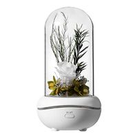 ROPALIA LED night light aroma diffuser Eternal rose flower design Essential oil Aromatherapy lamp 7 colors