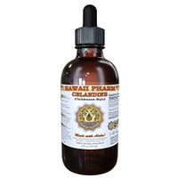 Celandine (Chelidonium Majus) Liquid Extract Tincture 2 oz