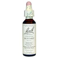 Bach Flower Mustard