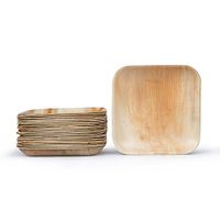 Simply Leaf 9" Disposable Square Plates Set, Eco friendly Party, Salad, Dessert and Appetizer Dinnerware | All-Natural Biodegradable, Recyclable | Premium, Natural Palm Leaves