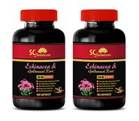 antioxidant Energy - Echinacea & Goldenseal Root 300MG - Immune Fortifier - 2 Bottles (120 Capsules)