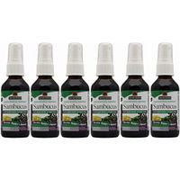 Natures Answer Sambucus Spray, 2 Ounces each (Value Pack of 6)