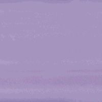 amscan Striking Solid Color Gift Wrap with Hang Tab Party Supply, Lavender, Paper , 5' X 30" Party Supplies