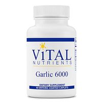 Vital Nutrients - Garlic 6000 - Cardiovascular, Immune, and Cholesterol Level Support - 60 Enteric Coated Capsules per Bottle