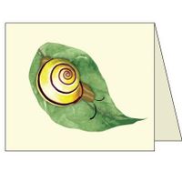 Snail Card, Pack of 12