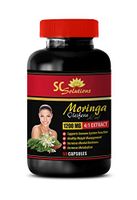 Fat Burners for Men Weight Loss - Moringa OLEIFERA Extract - Pure Moringa Powder - 1 Bottle 60 Capsules