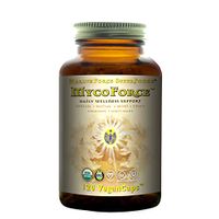 HealthForce SuperFoods MycoForce - 120 Vegan Capsules - Shiitake, Maitake, Reishi & Chaga Mushroom Supplement, Immune Booster - Organic, Gluten Free - 60 Servings