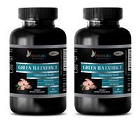 antioxidant Supplement for Women - Green Tea Extract 300 MG - Green Tea Fat Burner Capsules - 2 Bottles 120 Capsules