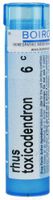 Rhus Toxicodendron 6C Homeopathic Medicine for Joint Pain (80 Pellets)